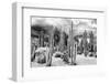 ?Viva Mexico! B&W Collection - Cardon Cactus-Philippe Hugonnard-Framed Photographic Print