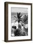 ¡Viva Mexico! B&W Collection - Caribbean Coastline in Tulum-Philippe Hugonnard-Framed Photographic Print