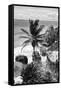 ¡Viva Mexico! B&W Collection - Caribbean Coastline in Tulum-Philippe Hugonnard-Framed Stretched Canvas