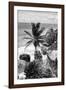 ¡Viva Mexico! B&W Collection - Caribbean Coastline in Tulum-Philippe Hugonnard-Framed Photographic Print