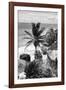 ¡Viva Mexico! B&W Collection - Caribbean Coastline in Tulum-Philippe Hugonnard-Framed Photographic Print