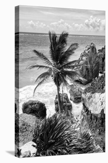 ¡Viva Mexico! B&W Collection - Caribbean Coastline in Tulum-Philippe Hugonnard-Stretched Canvas