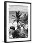 ¡Viva Mexico! B&W Collection - Caribbean Coastline in Tulum-Philippe Hugonnard-Framed Photographic Print