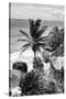 ¡Viva Mexico! B&W Collection - Caribbean Coastline in Tulum-Philippe Hugonnard-Stretched Canvas
