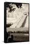 ¡Viva Mexico! B&W Collection - Chichen Itza Pyramid III-Philippe Hugonnard-Framed Stretched Canvas