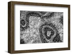 ¡Viva Mexico! B&W Collection - Earth from above II-Philippe Hugonnard-Framed Photographic Print