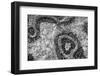 ¡Viva Mexico! B&W Collection - Earth from above II-Philippe Hugonnard-Framed Photographic Print