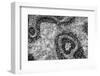 ¡Viva Mexico! B&W Collection - Earth from above II-Philippe Hugonnard-Framed Photographic Print