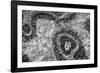 ¡Viva Mexico! B&W Collection - Earth from above II-Philippe Hugonnard-Framed Photographic Print