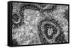 ¡Viva Mexico! B&W Collection - Earth from above II-Philippe Hugonnard-Framed Stretched Canvas