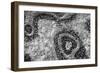 ¡Viva Mexico! B&W Collection - Earth from above II-Philippe Hugonnard-Framed Photographic Print