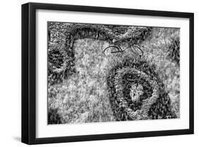 ¡Viva Mexico! B&W Collection - Earth from above II-Philippe Hugonnard-Framed Photographic Print