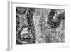 ¡Viva Mexico! B&W Collection - Earth from above III-Philippe Hugonnard-Framed Photographic Print