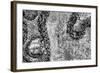 ¡Viva Mexico! B&W Collection - Earth from above III-Philippe Hugonnard-Framed Photographic Print