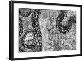 ¡Viva Mexico! B&W Collection - Earth from above III-Philippe Hugonnard-Framed Photographic Print