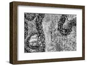 ¡Viva Mexico! B&W Collection - Earth from above III-Philippe Hugonnard-Framed Photographic Print