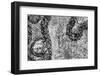 ¡Viva Mexico! B&W Collection - Earth from above III-Philippe Hugonnard-Framed Photographic Print