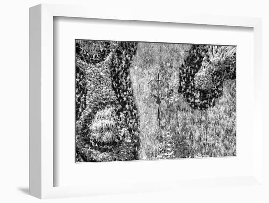 ¡Viva Mexico! B&W Collection - Earth from above III-Philippe Hugonnard-Framed Photographic Print