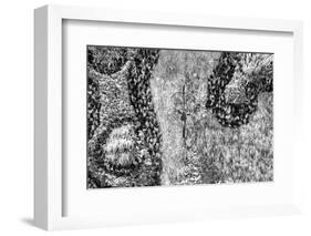 ¡Viva Mexico! B&W Collection - Earth from above III-Philippe Hugonnard-Framed Photographic Print