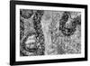 ¡Viva Mexico! B&W Collection - Earth from above III-Philippe Hugonnard-Framed Photographic Print