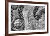 ¡Viva Mexico! B&W Collection - Earth from above III-Philippe Hugonnard-Framed Photographic Print