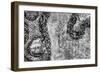 ¡Viva Mexico! B&W Collection - Earth from above III-Philippe Hugonnard-Framed Photographic Print