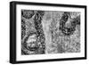 ¡Viva Mexico! B&W Collection - Earth from above III-Philippe Hugonnard-Framed Photographic Print