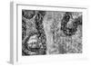 ¡Viva Mexico! B&W Collection - Earth from above III-Philippe Hugonnard-Framed Photographic Print