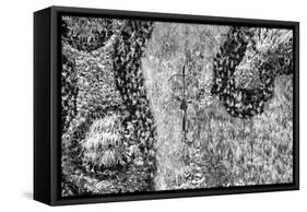 ¡Viva Mexico! B&W Collection - Earth from above III-Philippe Hugonnard-Framed Stretched Canvas