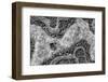 ¡Viva Mexico! B&W Collection - Earth from above-Philippe Hugonnard-Framed Photographic Print