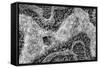 ¡Viva Mexico! B&W Collection - Earth from above-Philippe Hugonnard-Framed Stretched Canvas