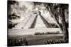 ¡Viva Mexico! B&W Collection - El Castillo Pyramid XII - Chichen Itza-Philippe Hugonnard-Stretched Canvas