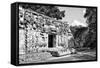 ¡Viva Mexico! B&W Collection - Hochob Mayan Pyramids III - Campeche-Philippe Hugonnard-Framed Stretched Canvas