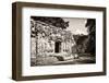 ¡Viva Mexico! B&W Collection - Hochob Mayan Pyramids IV - Campeche-Philippe Hugonnard-Framed Premium Photographic Print