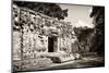 ¡Viva Mexico! B&W Collection - Hochob Mayan Pyramids IV - Campeche-Philippe Hugonnard-Mounted Premium Photographic Print