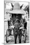 ¡Viva Mexico! B&W Collection - Horse with a straw Hat II-Philippe Hugonnard-Mounted Photographic Print