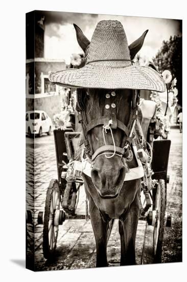 ¡Viva Mexico! B&W Collection - Horse with a straw Hat-Philippe Hugonnard-Stretched Canvas