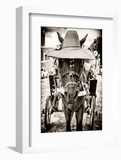 ¡Viva Mexico! B&W Collection - Horse with a straw Hat-Philippe Hugonnard-Framed Photographic Print