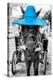 ¡Viva Mexico! B&W Collection - Horse with Blue straw Hat-Philippe Hugonnard-Stretched Canvas