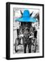 ¡Viva Mexico! B&W Collection - Horse with Blue straw Hat-Philippe Hugonnard-Framed Photographic Print