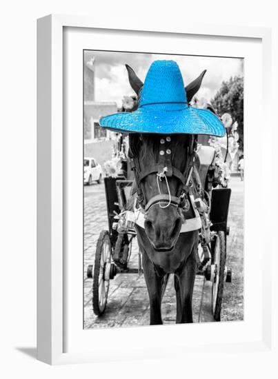 ¡Viva Mexico! B&W Collection - Horse with Blue straw Hat-Philippe Hugonnard-Framed Photographic Print