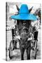 ¡Viva Mexico! B&W Collection - Horse with Blue straw Hat-Philippe Hugonnard-Stretched Canvas