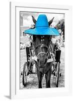 ¡Viva Mexico! B&W Collection - Horse with Blue straw Hat-Philippe Hugonnard-Framed Photographic Print