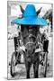 ¡Viva Mexico! B&W Collection - Horse with Blue straw Hat-Philippe Hugonnard-Mounted Photographic Print