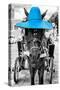 ¡Viva Mexico! B&W Collection - Horse with Blue straw Hat-Philippe Hugonnard-Stretched Canvas