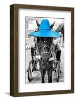 ¡Viva Mexico! B&W Collection - Horse with Blue straw Hat-Philippe Hugonnard-Framed Photographic Print