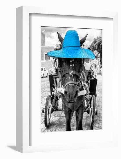 ¡Viva Mexico! B&W Collection - Horse with Blue straw Hat-Philippe Hugonnard-Framed Photographic Print