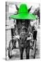 ¡Viva Mexico! B&W Collection - Horse with Green straw Hat-Philippe Hugonnard-Stretched Canvas