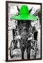 ¡Viva Mexico! B&W Collection - Horse with Green straw Hat-Philippe Hugonnard-Framed Photographic Print