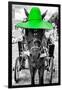 ¡Viva Mexico! B&W Collection - Horse with Green straw Hat-Philippe Hugonnard-Framed Photographic Print